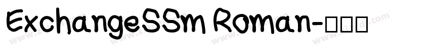 ExchangeSSm Roman字体转换 ExchangeSSm Roman字体转换